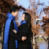 洱海海鸥-冬季恋歌