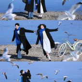 洱海海鸥-冬季恋歌