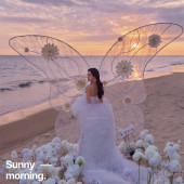 三亚湾-星辰坠海