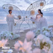 三亚湾-星辰坠海