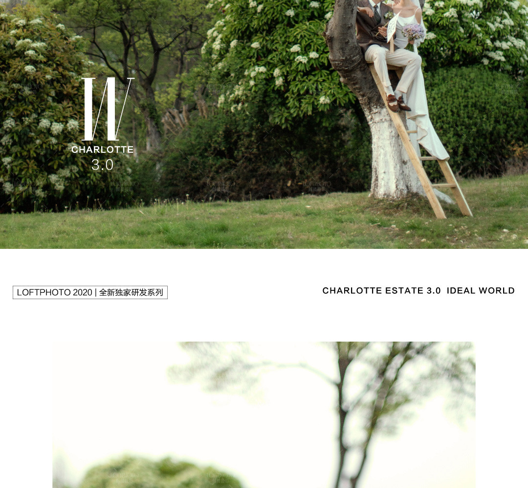 夏洛特庄园3.0理想世界——情节感