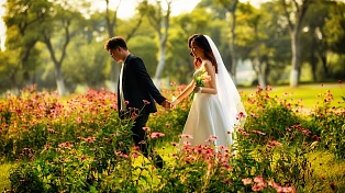 常州到哪里去拍婚纱摄影-红梅公园感受闹市中静谧的美