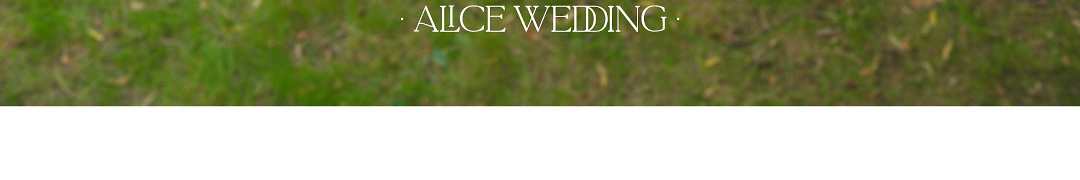 爱丽丝的婚礼