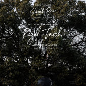 余晖里的一场告白