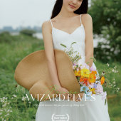 少女情怀总是诗