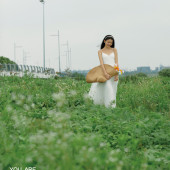 少女情怀总是诗