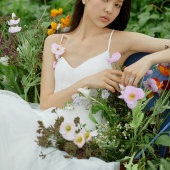 少女情怀总是诗