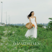 少女情怀总是诗