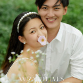 少女情怀总是诗