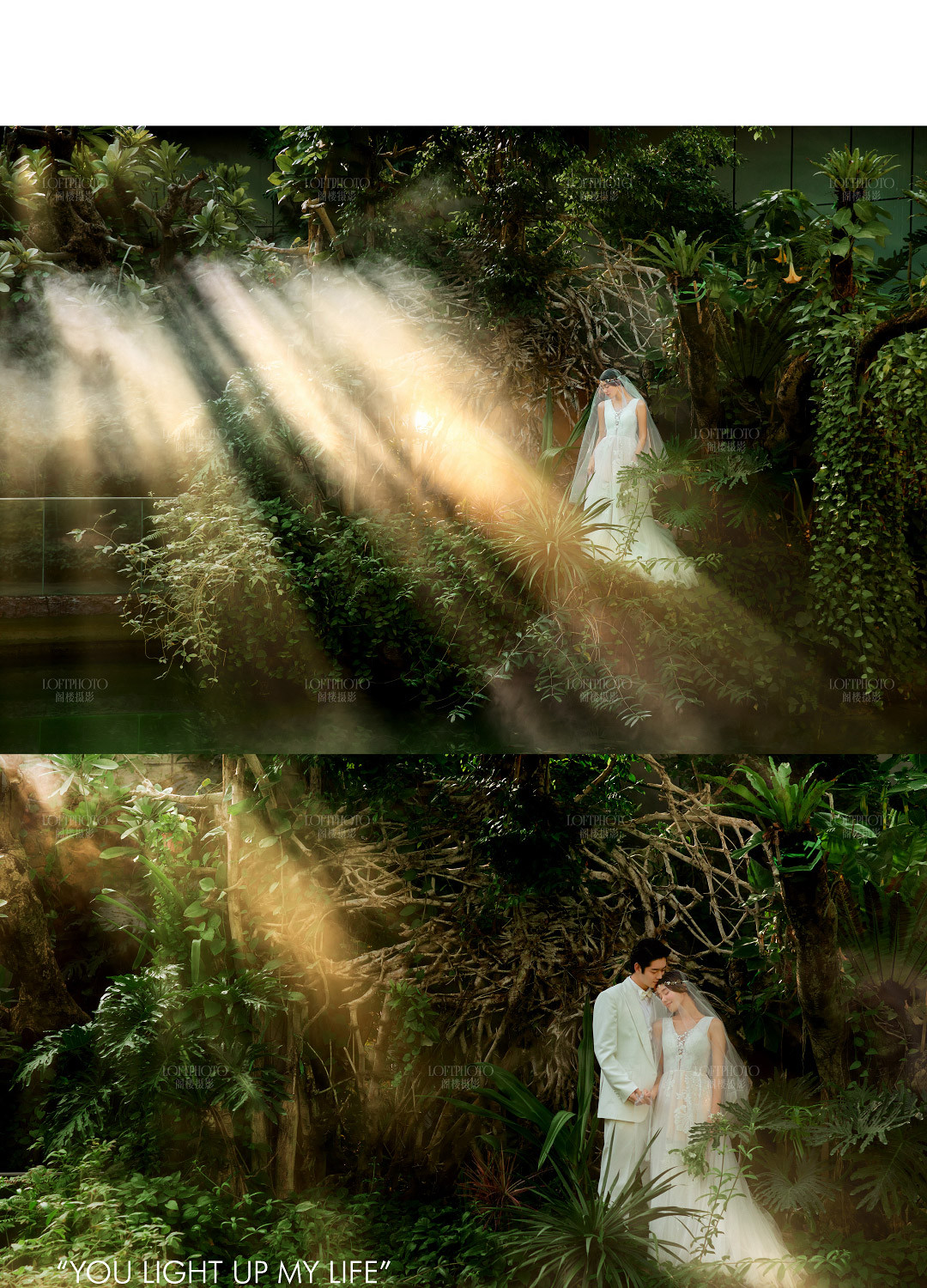 一年有两个春天