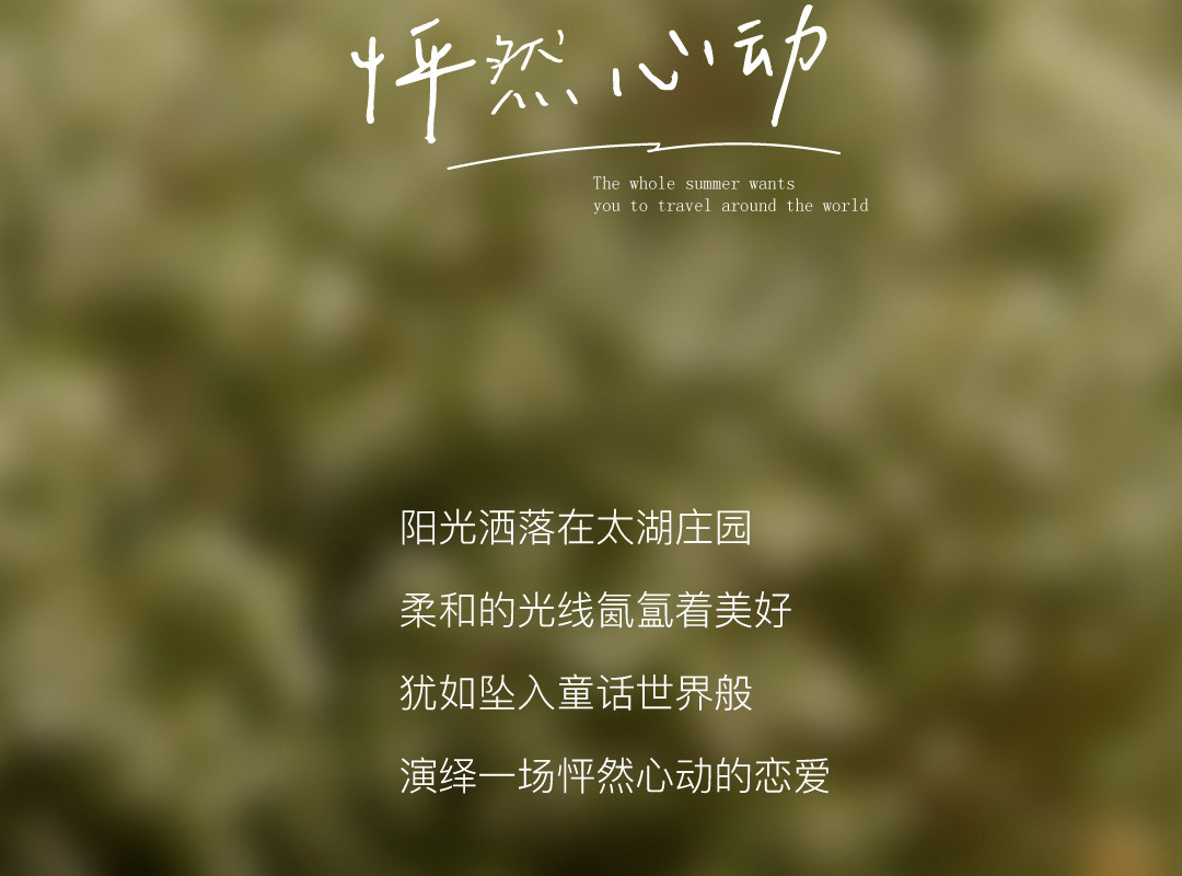 新品发布|理想世界的夏天