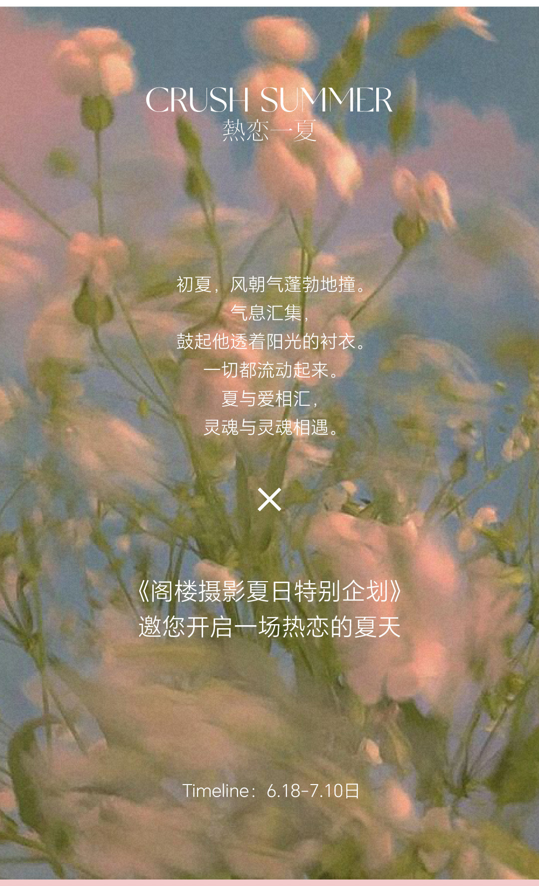 夏日特别企划 | 热恋一夏