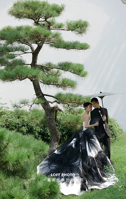 虞美人