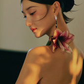 醉流莺