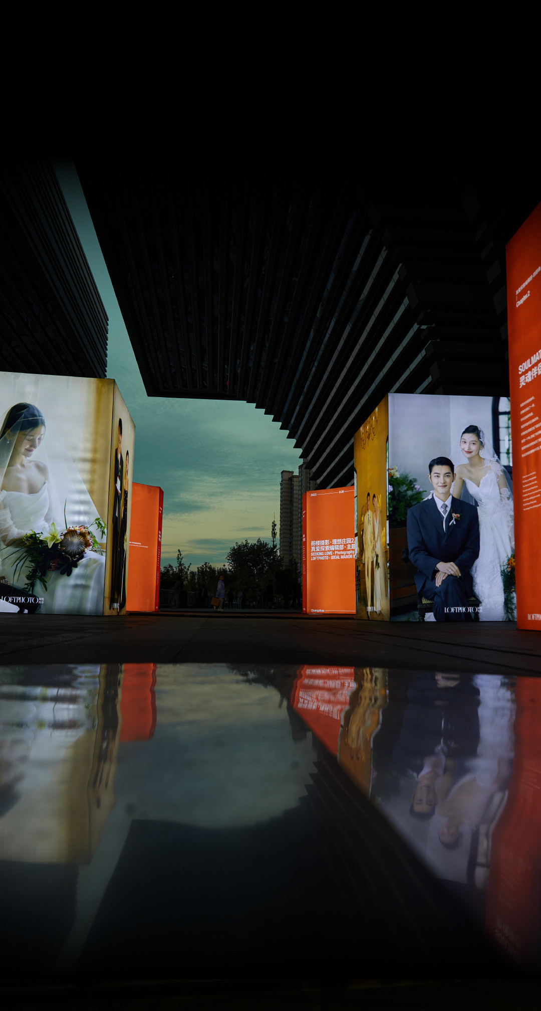 阁楼2023年度报告