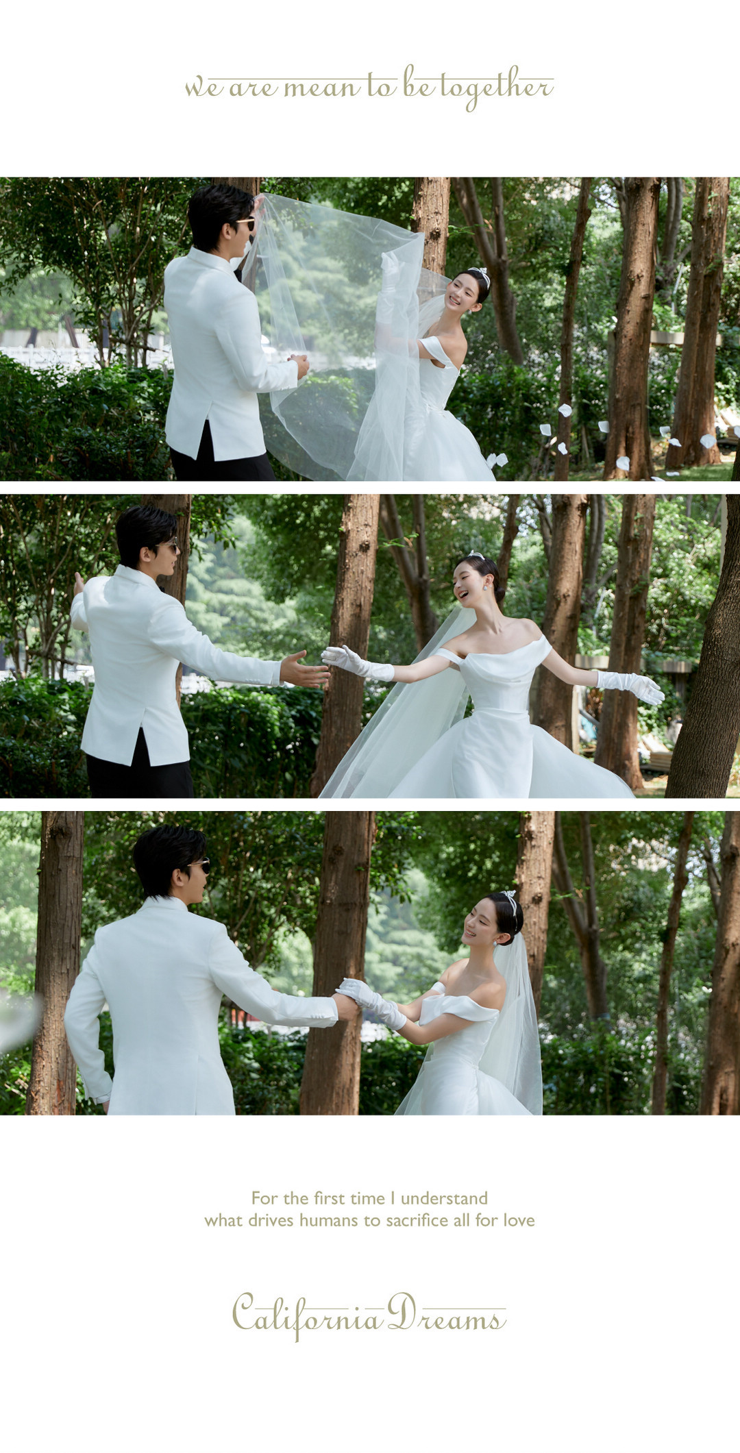 在一起系列|2024长夏启幕·新品发布