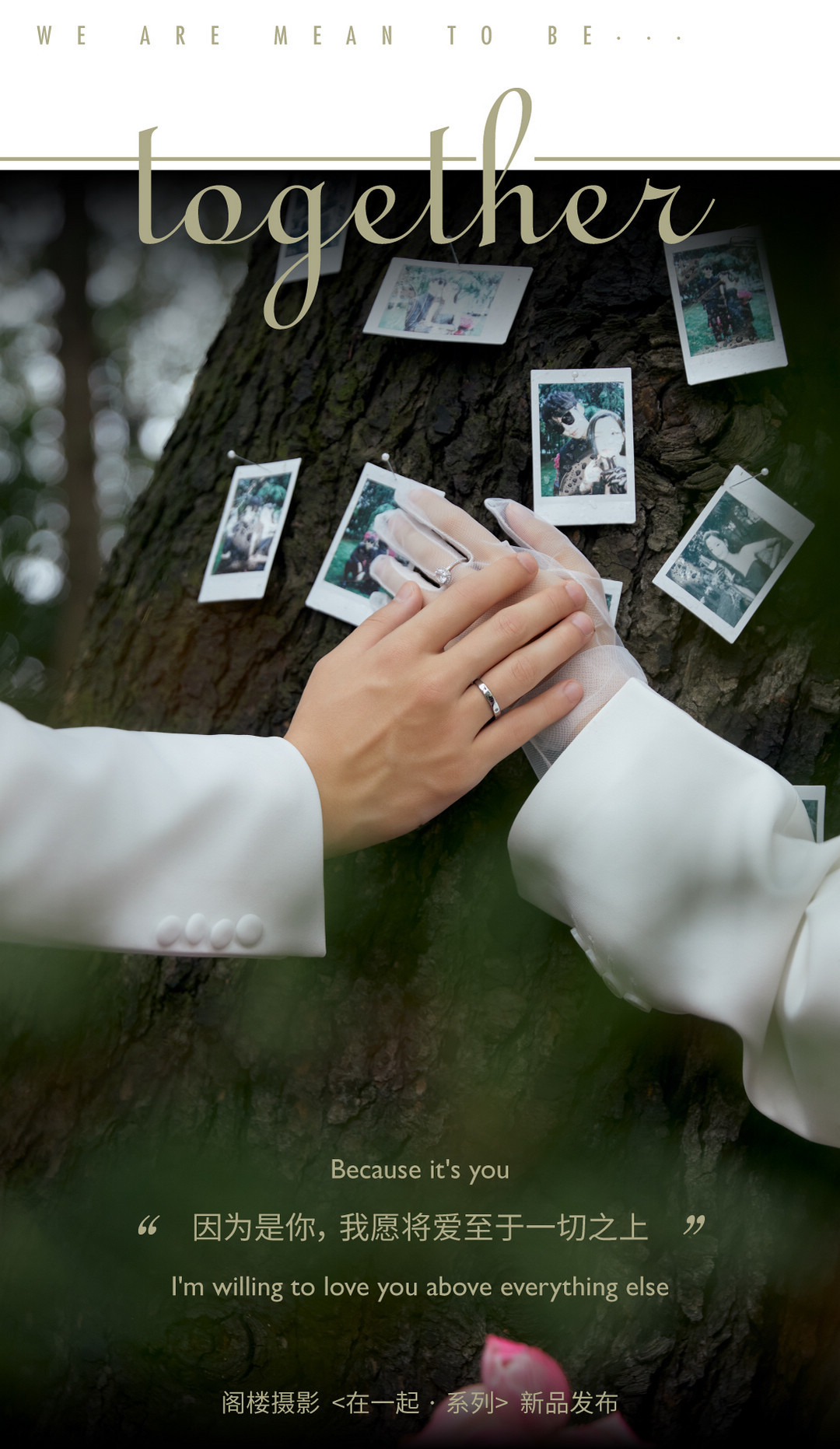 在一起系列|2024长夏启幕·新品发布