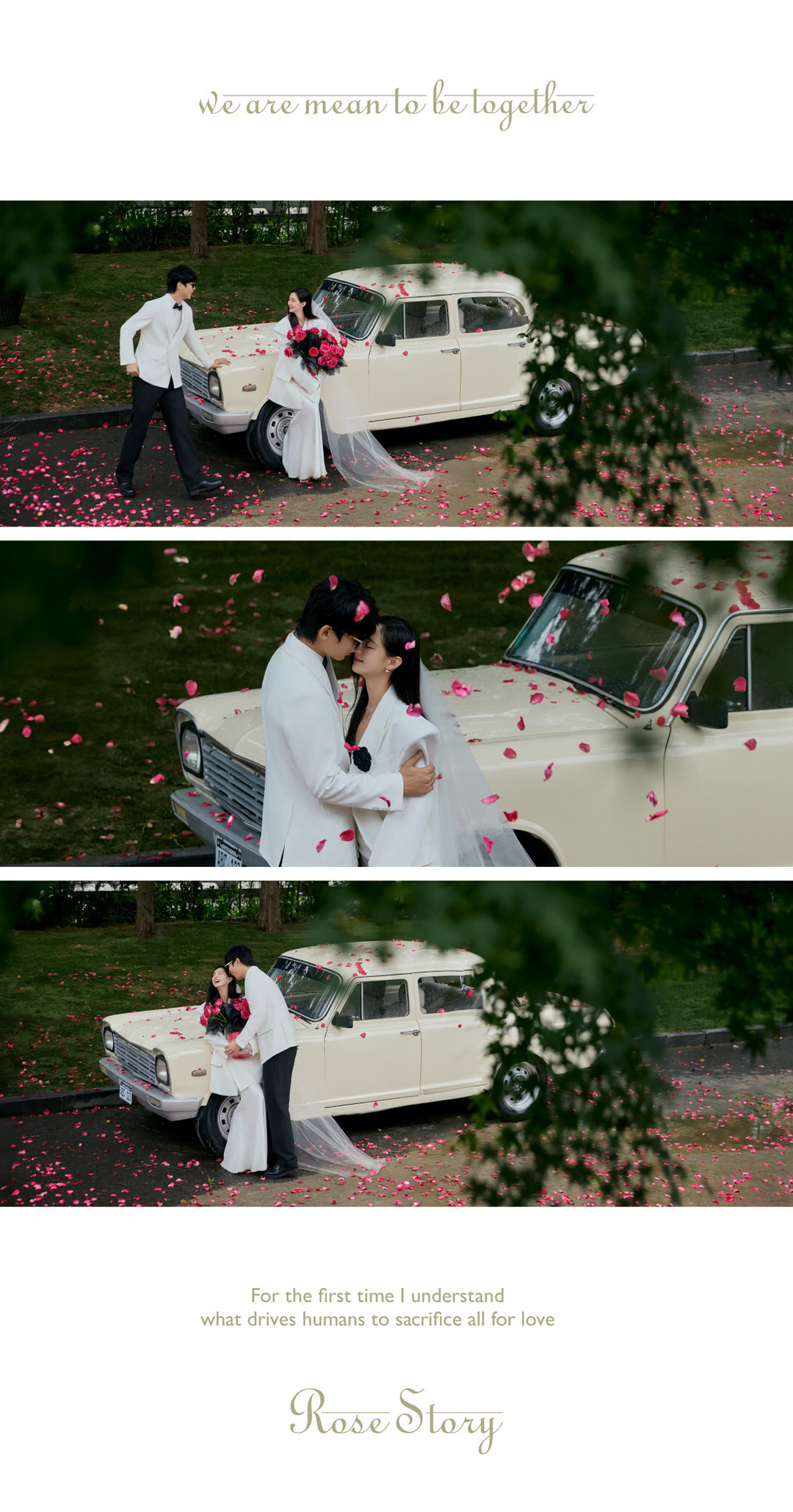 在一起系列|2024长夏启幕·新品发布