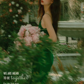 亲爱的塞西莉亚