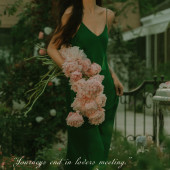 亲爱的塞西莉亚