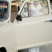 幻想之翼Wedding wings