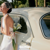 幻想之翼Wedding wings