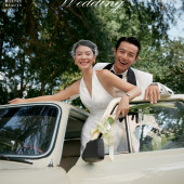 幻想之翼Wedding wings