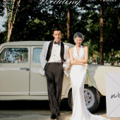 幻想之翼Wedding wings