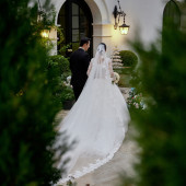 婚礼进行曲The wedding March