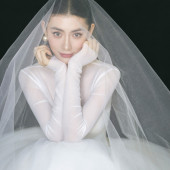 洛希极限1