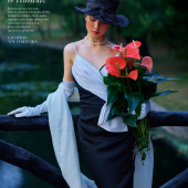 献给阿尔吉侬的花束