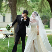 Ideal Summer理想的夏天