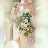 Ideal Summer理想的夏天