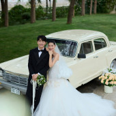 Ideal Summer理想的夏天