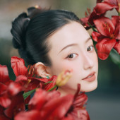 凤栖梧