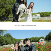 请以你的名字呼唤我