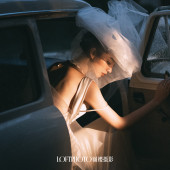 新品预售[暮光里的誓约]