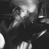 新品预售[暮光里的誓约]