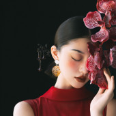 新品预售【风月契】