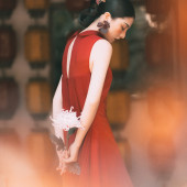 新品预售【风月契】