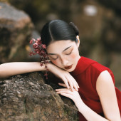 新品预售【风月契】