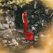 新品预售【风月契】