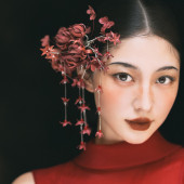 新品预售【风月契】