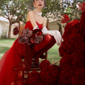 新品预售【亲爱的罗莎丽娜】