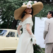 新品预售【梦想之翼】