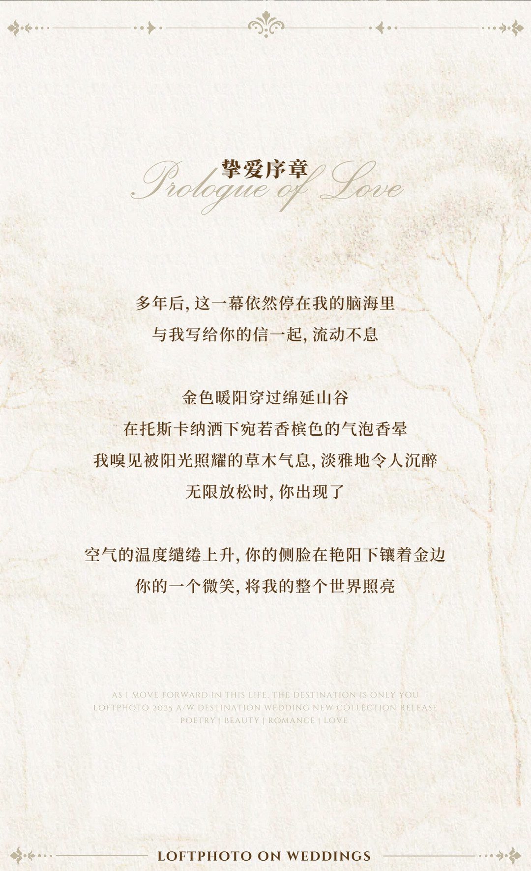 庄园目的地婚礼 | 爱的进行时