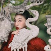新品预售【灼灼韶华】