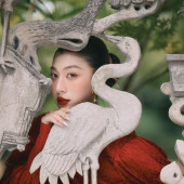 新品预售【灼灼韶华】