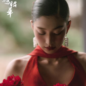 新品预售【锦绣昭华】