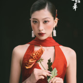 新品预售【锦绣昭华】